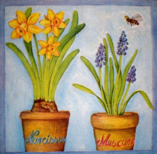 020 Narzissen, Hyazinthen, Maiglöckchen, Krokus